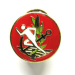 סיכת מצטיין בר אור