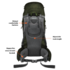 מוצ'ילה אחורי