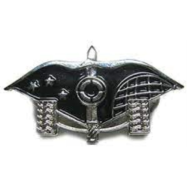 Artillery-Warrior-Pin.jpg