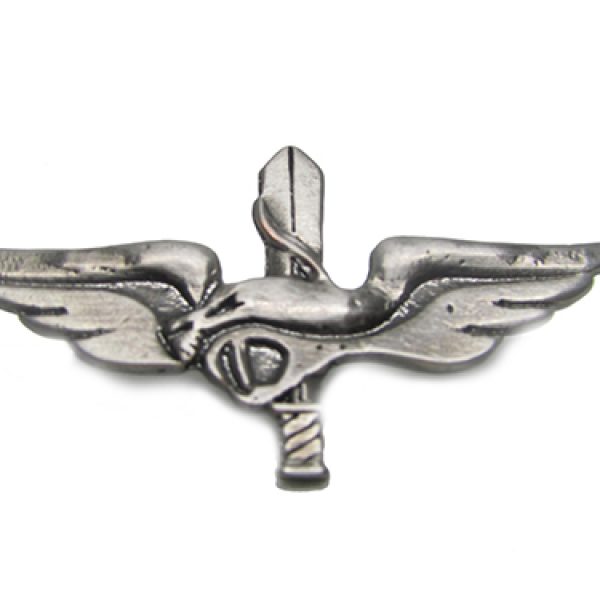 Caracal-warrior-pin.jpg