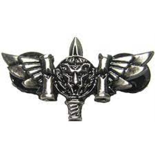 Kfir-warrior-pin.jpg