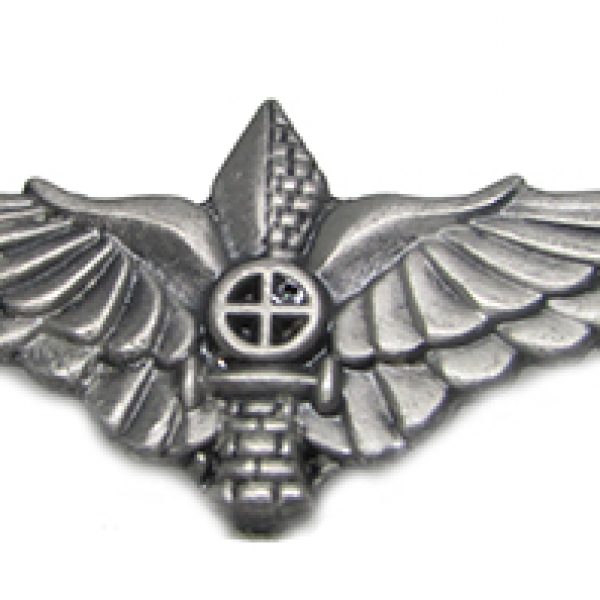 Paratrooper-Gadsar-fighter-pin.jpg