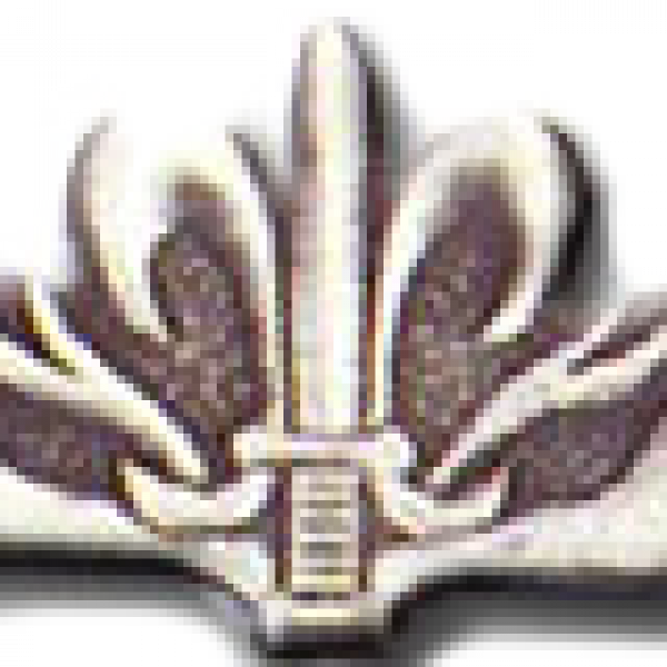 Walnut-warrior-pin.png