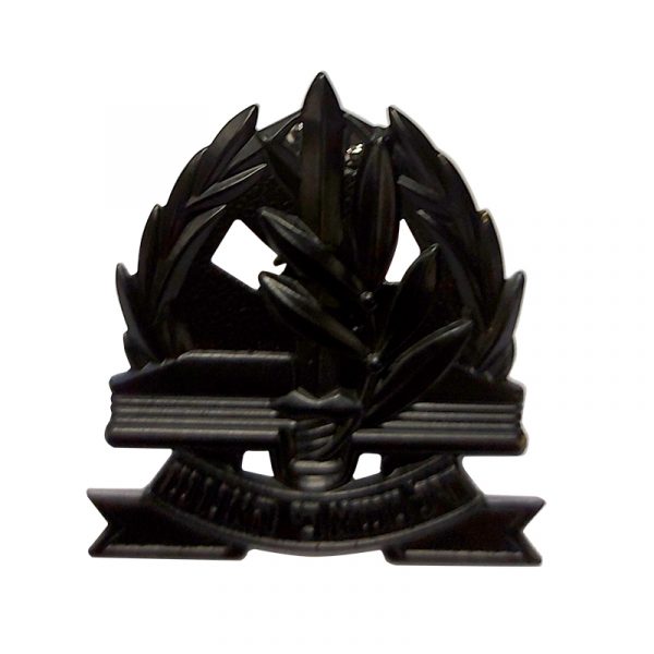 a-beret-pin-for-the-human-resources-corps.jpg