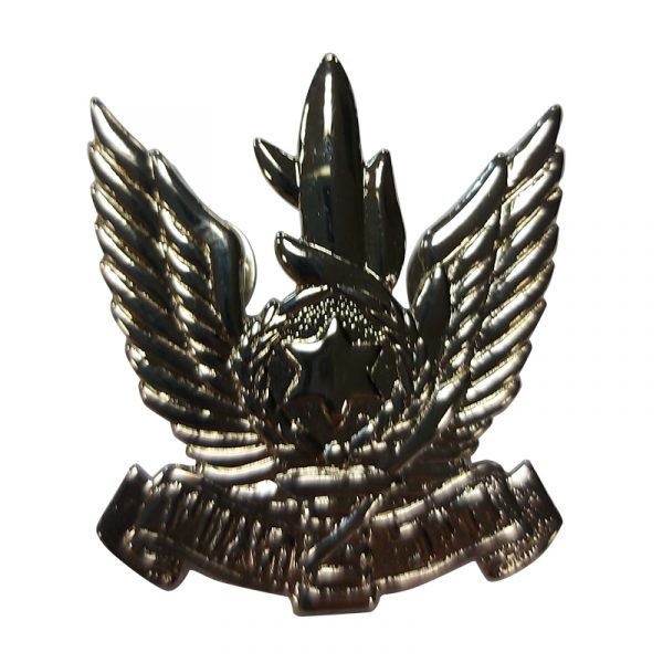 air-force-beret-pin.jpg