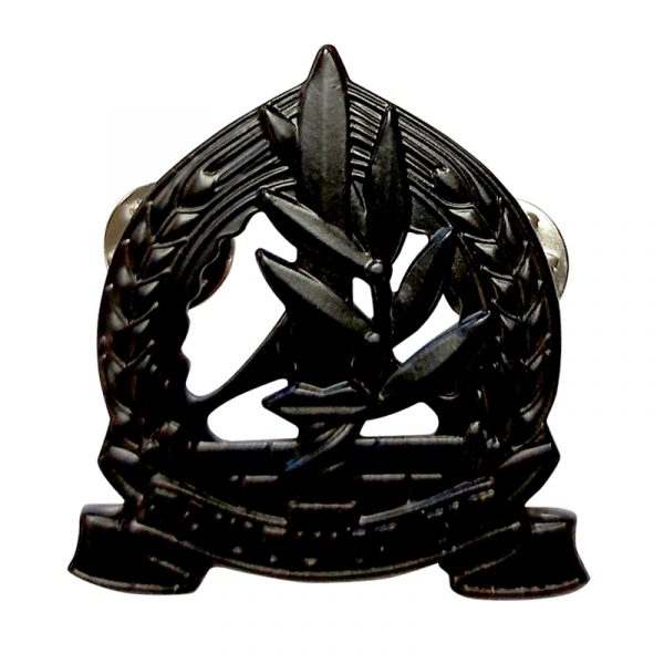 brooch-pin-logistics-corps.jpg