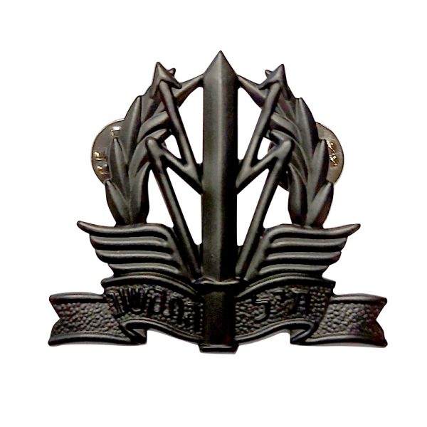 ict-beret-pin-1.jpg