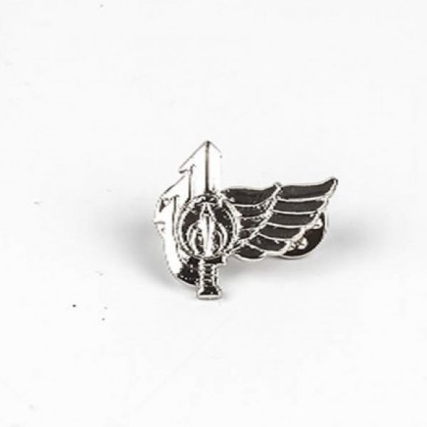 nahal-warrior-pin.jpg