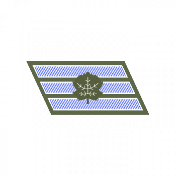 sergeant-rank.png